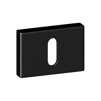 Keyhole escutcheon DP-S-VANGARD-BLM (EC)